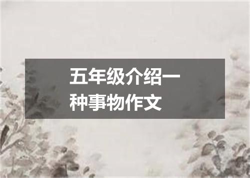 五年级介绍一种事物作文