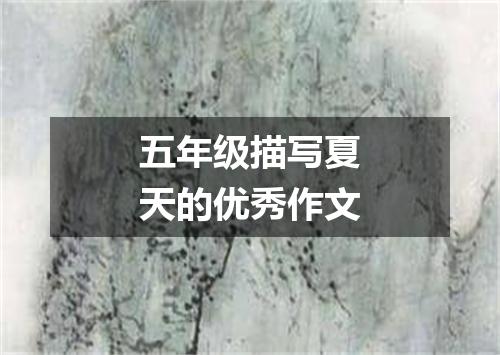 五年级描写夏天的优秀作文