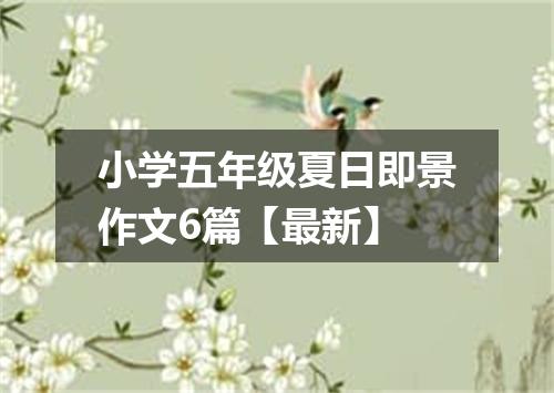 小学五年级夏日即景作文6篇【最新】