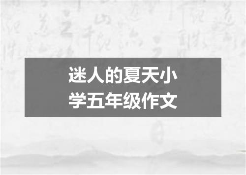 迷人的夏天小学五年级作文