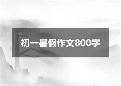 初一暑假作文800字