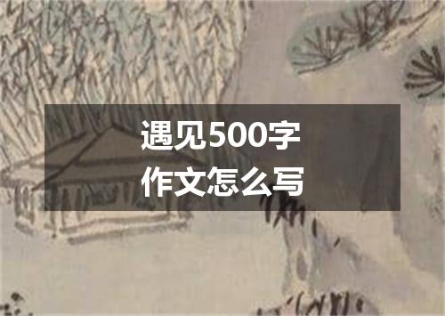 遇见500字作文怎么写
