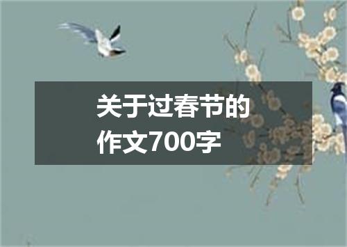 关于过春节的作文700字
