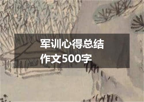 军训心得总结作文500字