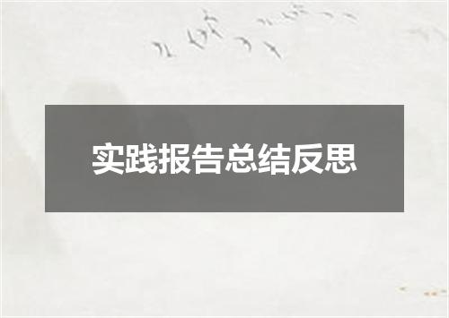 实践报告总结反思