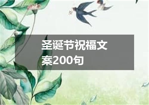 圣诞节祝福文案200句