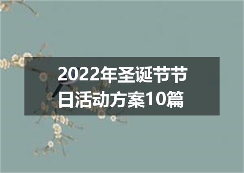 2022年圣诞节节日活动方案10篇