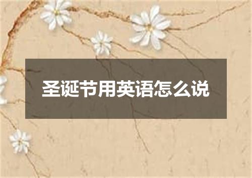 圣诞节用英语怎么说