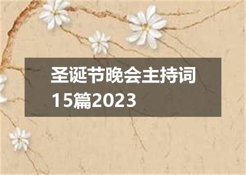 圣诞节晚会主持词15篇2023