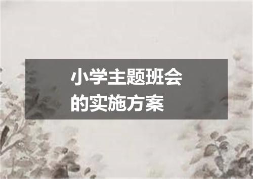 小学主题班会的实施方案