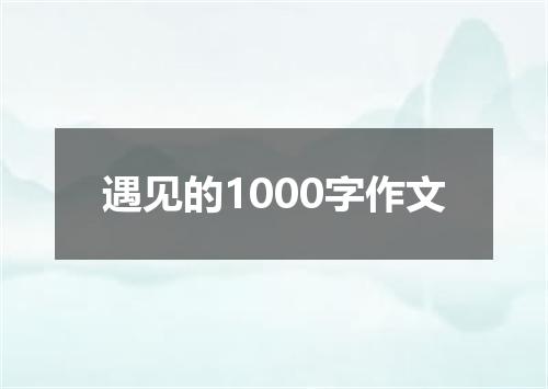 遇见的1000字作文