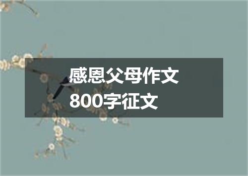 感恩父母作文800字征文
