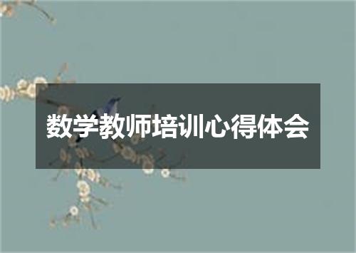 数学教师培训心得体会