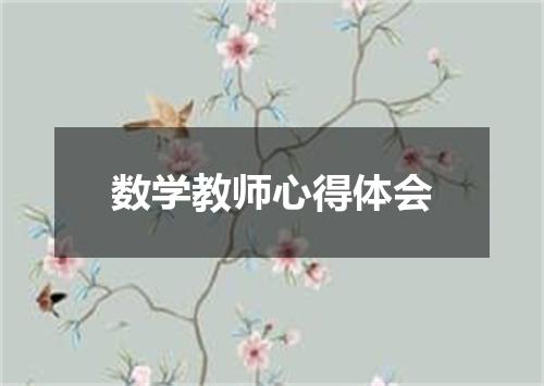 数学教师心得体会