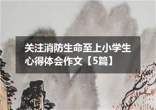 关注消防生命至上小学生心得体会作文【5篇】