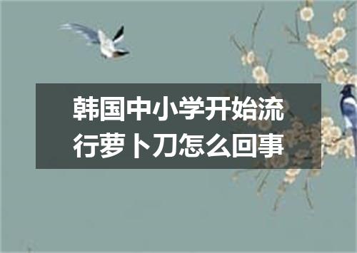 韩国中小学开始流行萝卜刀怎么回事
