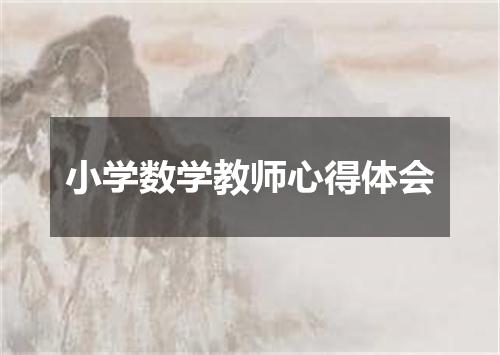 小学数学教师心得体会
