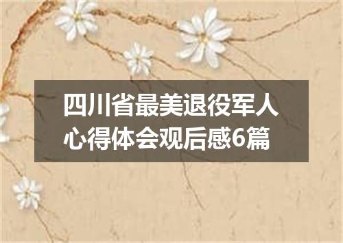 四川省最美退役军人心得体会观后感6篇