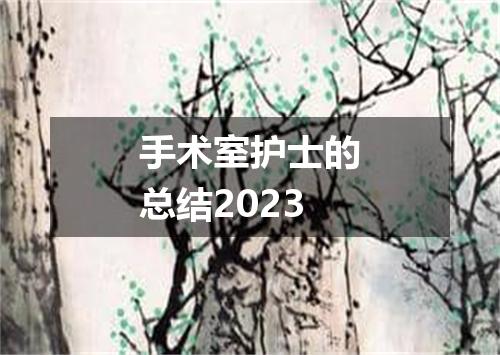 手术室护士的总结2023