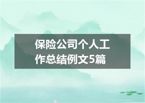 保险公司个人工作总结例文5篇