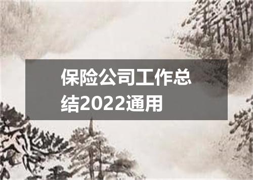 保险公司工作总结2022通用