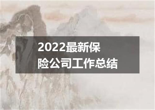 2022最新保险公司工作总结