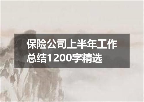 保险公司上半年工作总结1200字精选
