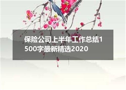 保险公司上半年工作总结1500字最新精选2020