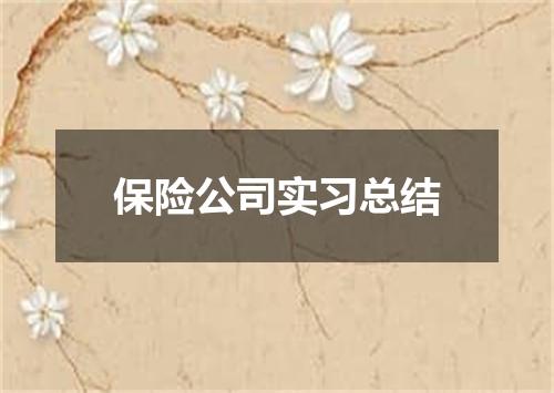 保险公司实习总结