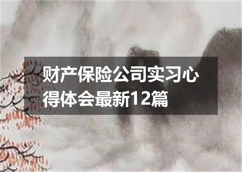 财产保险公司实习心得体会最新12篇