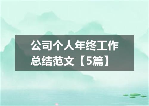 公司个人年终工作总结范文【5篇】