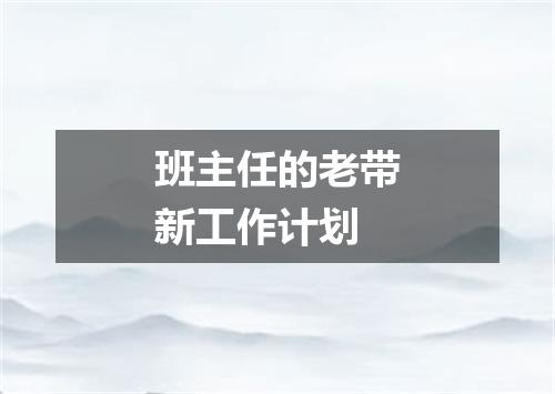 班主任的老带新工作计划
