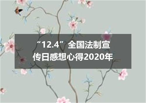“12.4”全国法制宣传日感想心得2020年