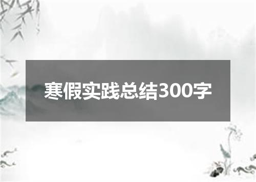 寒假实践总结300字