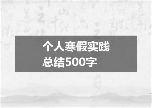 个人寒假实践总结500字