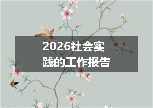 2026社会实践的工作报告