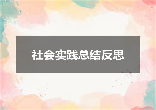 社会实践总结反思