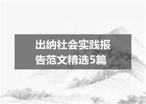 出纳社会实践报告范文精选5篇