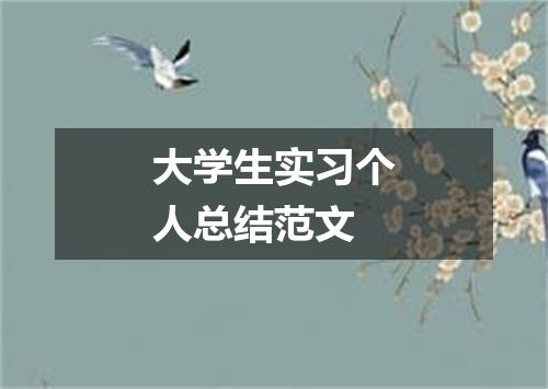 大学生实习个人总结范文