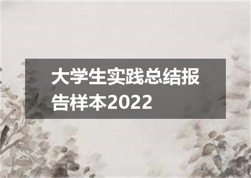 大学生实践总结报告样本2022