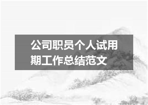 公司职员个人试用期工作总结范文
