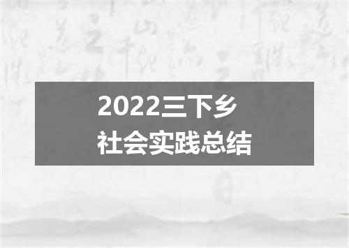 2022三下乡社会实践总结