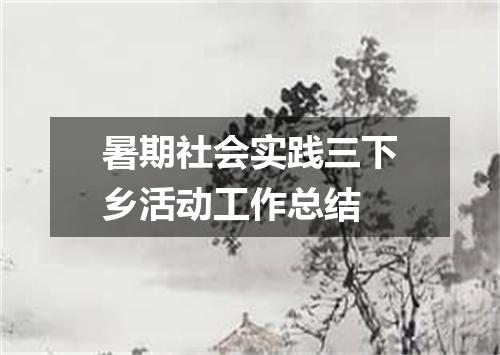 暑期社会实践三下乡活动工作总结