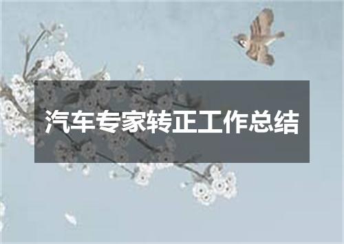 汽车专家转正工作总结