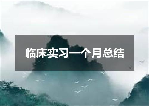 临床实习一个月总结