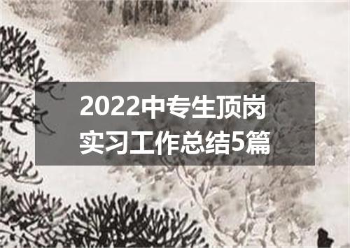 2022中专生顶岗实习工作总结5篇