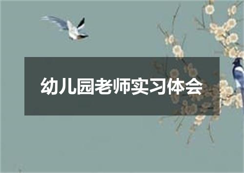 幼儿园老师实习体会