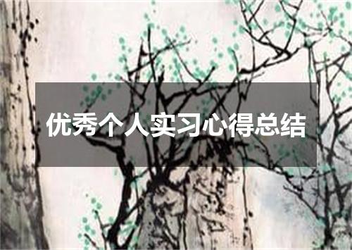 优秀个人实习心得总结