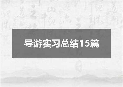 导游实习总结15篇