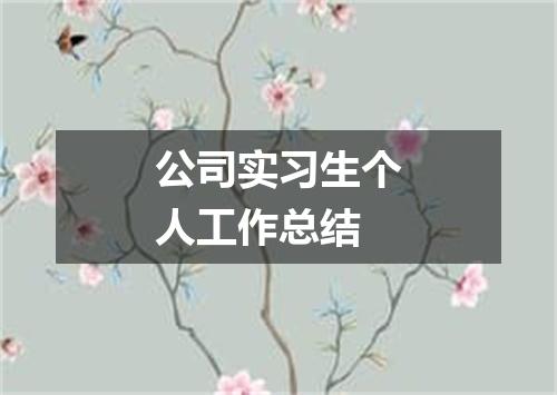 公司实习生个人工作总结